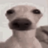Avatar für cookedes