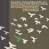 Evolutionary Process: Special Edition
