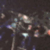 Avatar for The_Soulmaster