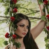 Haifa
