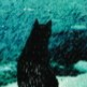 Avatar für Fredalein