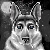 German Shepherd / Pisces Moonlight