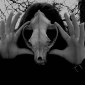 Avatar di DeathWarrior88