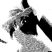 Avatar for poloooooooooo