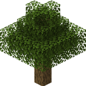 Avatar for hamothutur