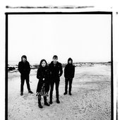 Pic by Dave Newitt