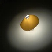 Avatar di nikbitz
