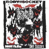 BODY // SOCKET (Split with Dry Socket)