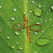 Avatar for kedarpn