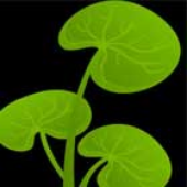 Avatar for holistichealt
