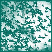Murmuration