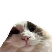 Avatar for madoiscoolaf