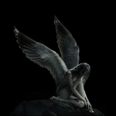 Avatar for aokinaoi