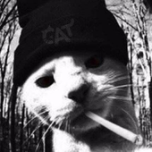 Avatar for kayako8888
