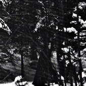 Picsart_25-10-24_20-40-56-218.jpg