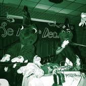 Frog Concert Bandcamp
