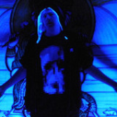 Avatar for KingSkull