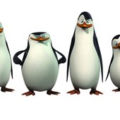 Pinguins-de-Madagascar.jpg