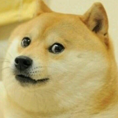 Avatar for steebchen