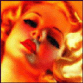 Avatar for auburnkitten