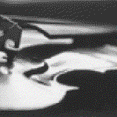 Avatar for Aphexedpiet