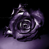 Avatar for EinstOnce