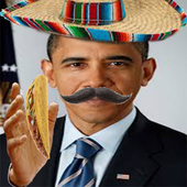 Avatar for BrickBama