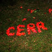 WELOVEYOUCERR1COVER