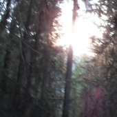 slow fall