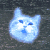 Avatar for panty_