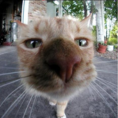Avatar di PanasMr
