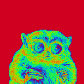Avatar di pcRhox