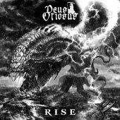 Rise (2014) cover