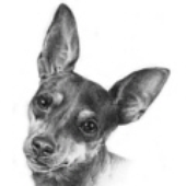 Avatar for pinchik