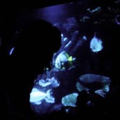 IMG_20250104_014647_157.jpg
