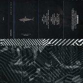 COLDLEAP - twentyone