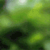 Avatar for Cris1969