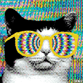 Avatar for frch_fuzz