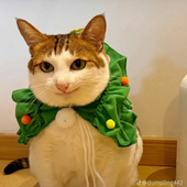 Avatar for goobaga