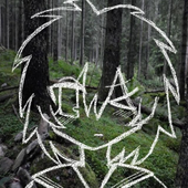 Avatar for Cutekitty272