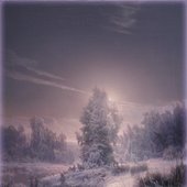 \"The winter\",2009,30x40cm,oil/canvas