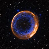 stellar dreams