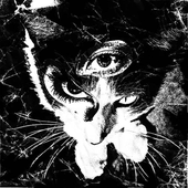 redxctd için avatar