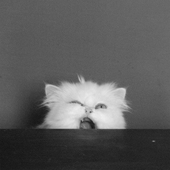 Avatar di putain_
