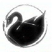 Avatar di Sins_writter