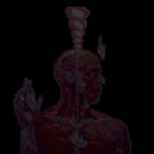 Avatar di BluesX