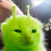 Avatar for exi