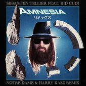 Amnesia (Notre Dame & Harry Kaze Remix)