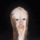 Avatar for ExtraPills