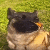 Avatar for Maliniastyy
